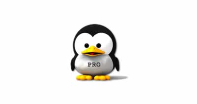 web hosting pro