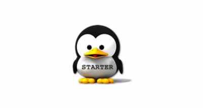 web hosting starter